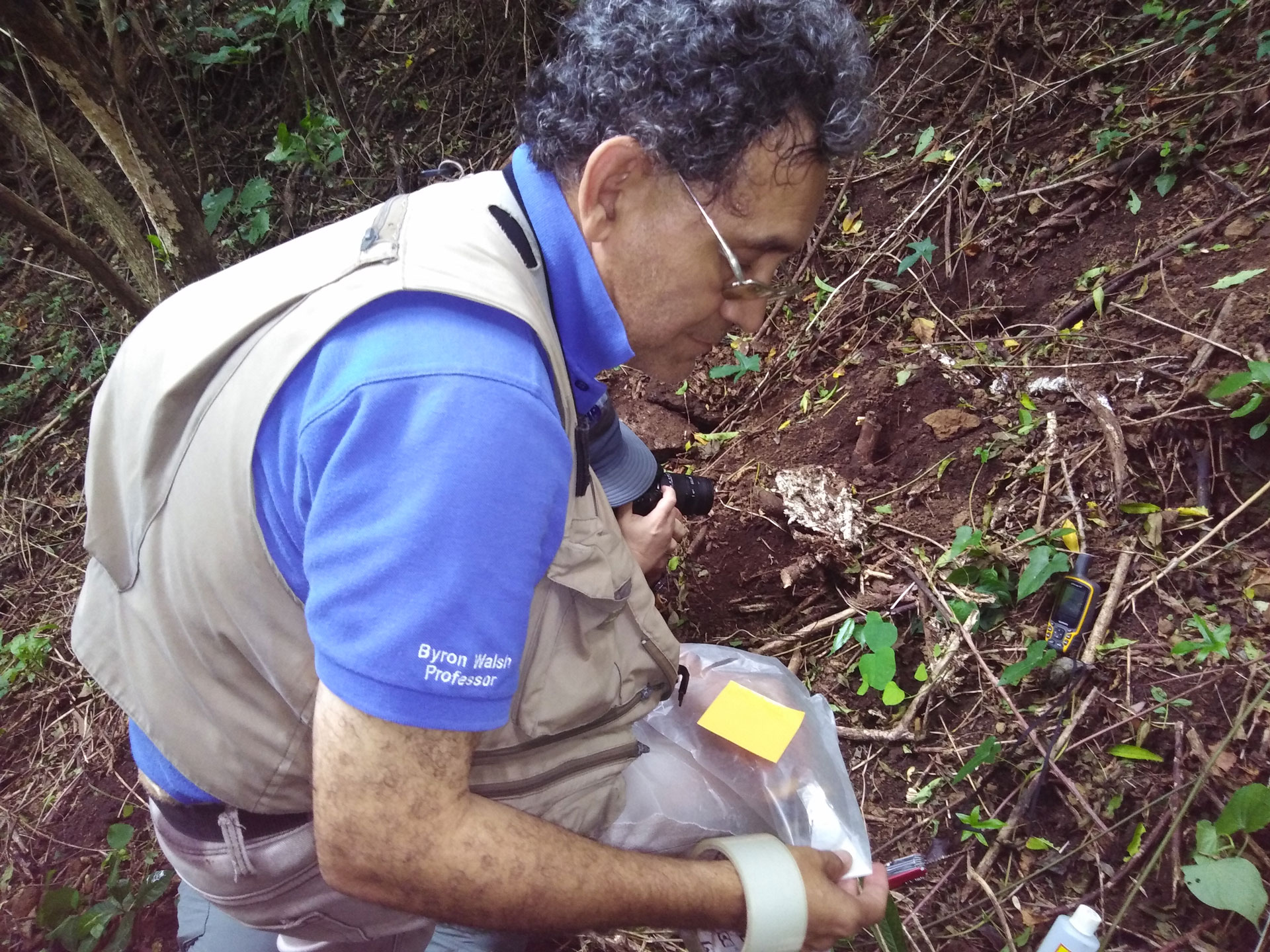 Que es la micología y por qué en Nicaragua se está empezando a realizar